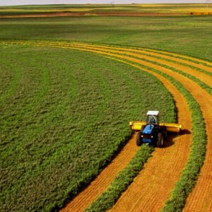 Agriculture Sector