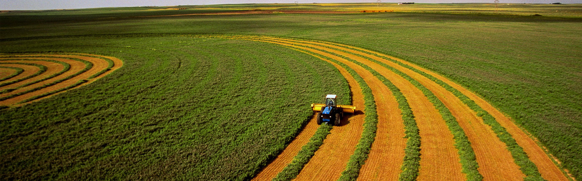 Agriculture Sector