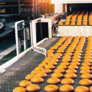 Food Processing Industry