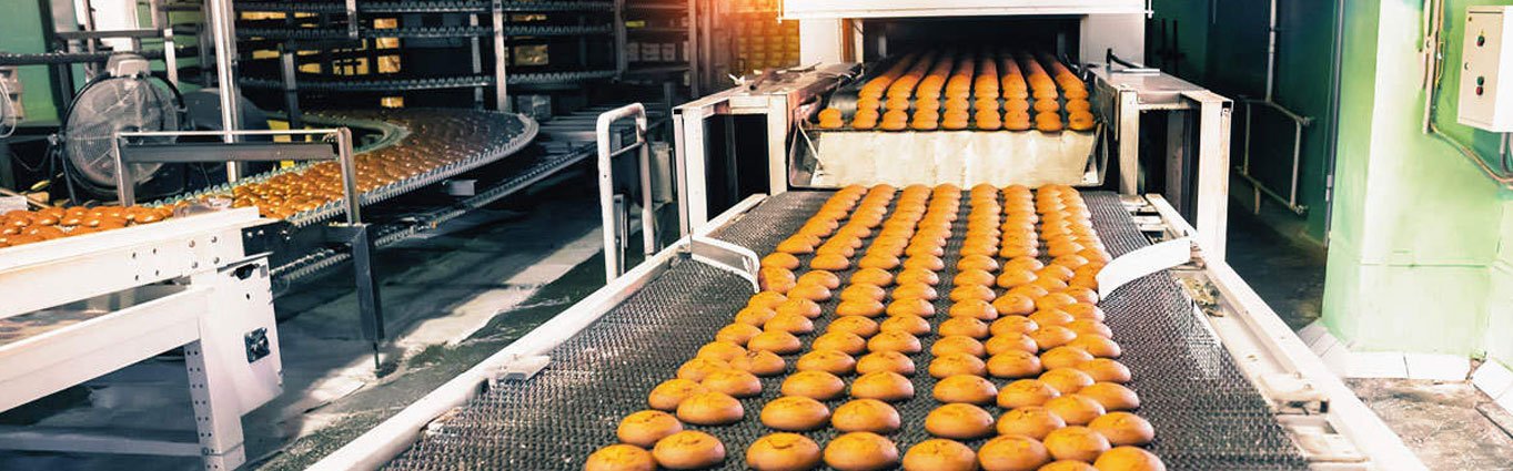 Food Processing Industry