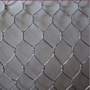 Galvanized Hexagonal Wire Mesh