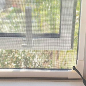Insect screen