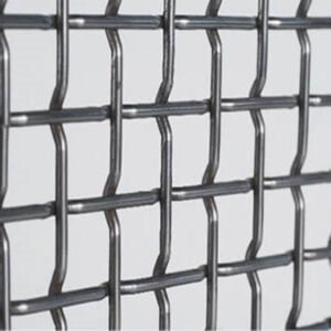 Pre Crimped Woven Wire Mesh